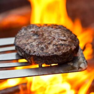 Buffalo Burgers