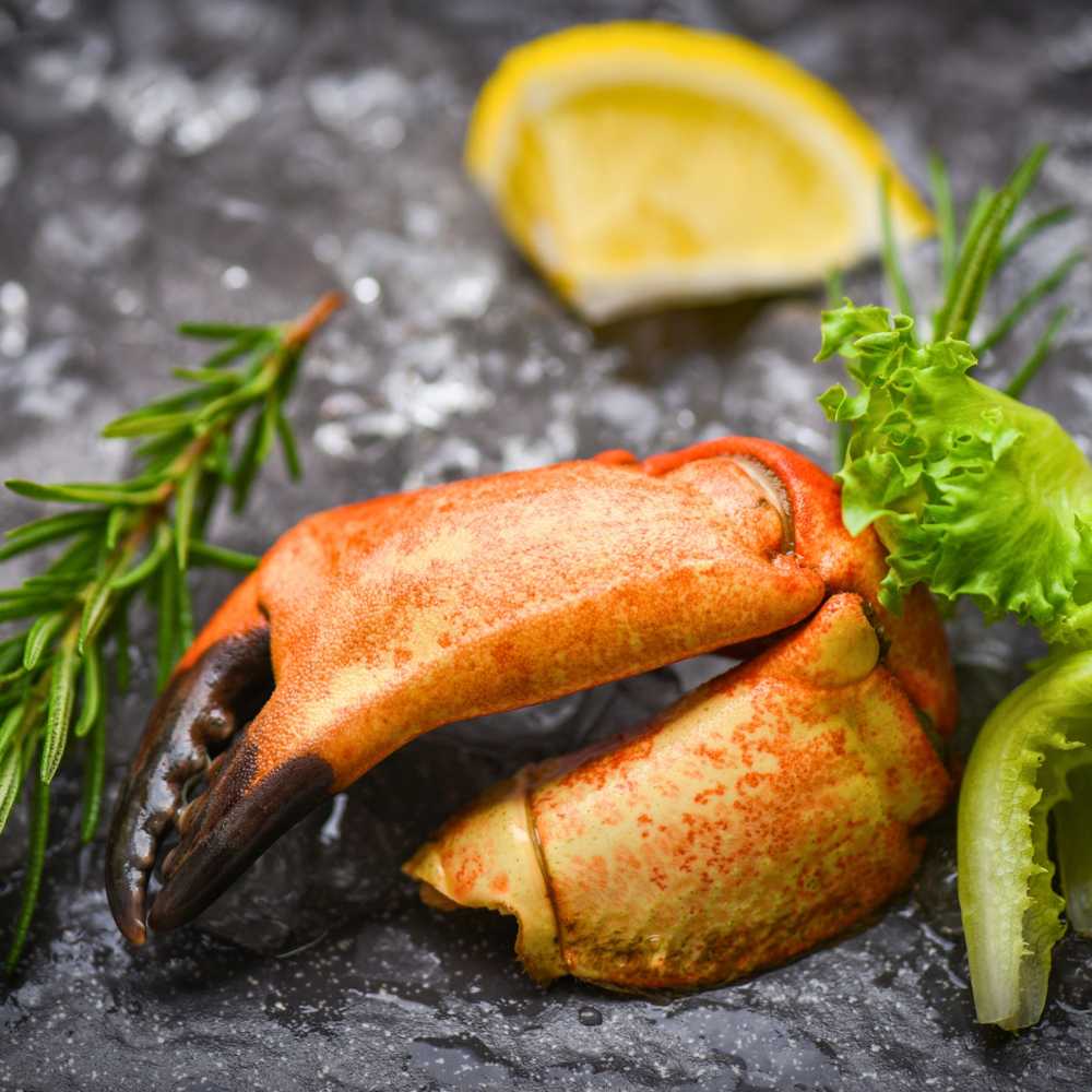 Fresh Seafood